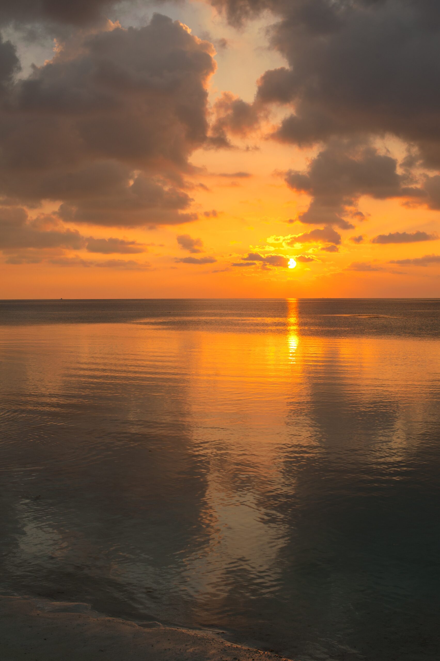 pexels asad photo maldives 12913424 scaled